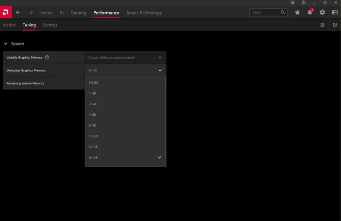 Dedicated Graphics Memory