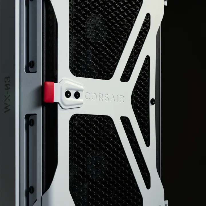 WHITE WARTHOG - 4