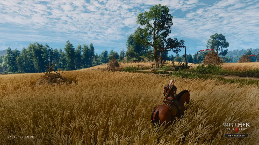 witcher 3 remaster graphics